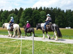 2011 043 schmieh juni