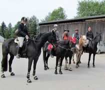 2012 001 schmieh juni