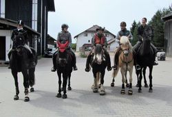 2012 001 schmieh juni