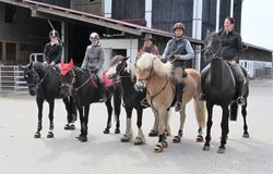 2012 001 schmieh juni