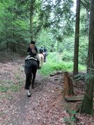 2012 001 schmieh juni