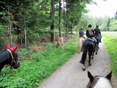 2012 001 schmieh juni