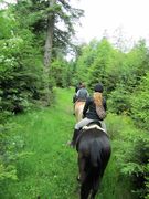 2012 001 schmieh juni