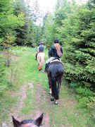 2012 001 schmieh juni