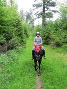 2012 001 schmieh juni