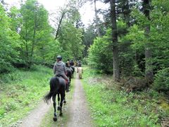 2012 001 schmieh juni