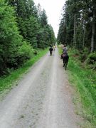 2012 001 schmieh juni