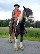 2012 001 schmieh juni