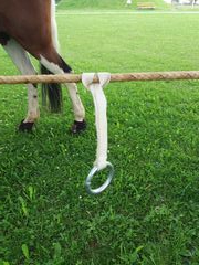 2018 schmieh 012 copy