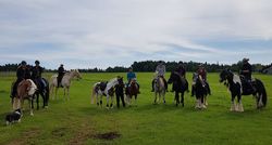 sternritt schmieh 2019 001