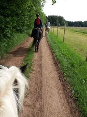 sternritt schmieh 2019 011