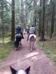 sternritt schmieh 2019 011 copy