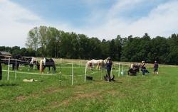 sternritt schmieh 2019 001