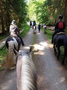 sternritt schmieh 2019 001