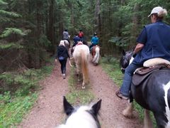 sternritt schmieh 2019 001