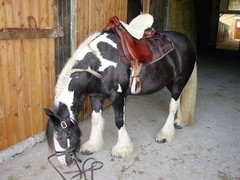 2010 001 Sternritt Schwarzenberg September