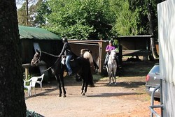 2010 002 Sternritt Schwarzenberg September