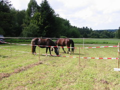 2010 003 Sternritt Schwarzenberg September