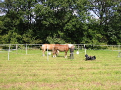 2010 004 Sternritt Schwarzenberg September