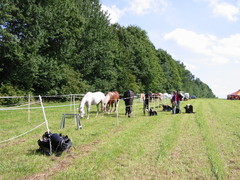 2010 005 Sternritt Schwarzenberg September