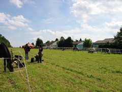 2010 006 Sternritt Schwarzenberg September