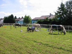 2010 008 Sternritt Schwarzenberg September