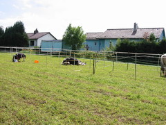 2010 009 Sternritt Schwarzenberg September