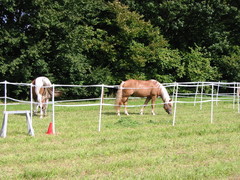 2010 010 Sternritt Schwarzenberg September