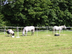 2010 011 Sternritt Schwarzenberg September