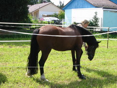 2010 012 Sternritt Schwarzenberg September