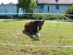 2010 014 Sternritt Schwarzenberg September