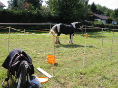 2010 015 Sternritt Schwarzenberg September
