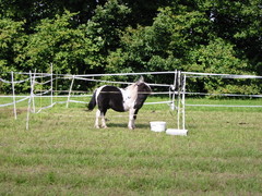 2010 017 Sternritt Schwarzenberg September