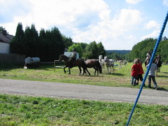 2010 020 Sternritt Schwarzenberg September