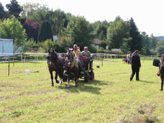 2010 022 Sternritt Schwarzenberg September