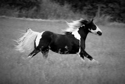 2008 001 colleen fotoshooting mai