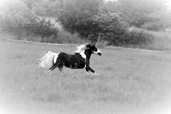 2008 002 colleen fotoshooting mai