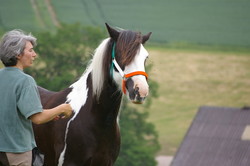 2008 007 colleen fotoshooting mai