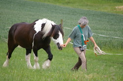 2008 008 colleen fotoshooting mai