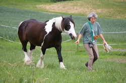 2008 009 colleen fotoshooting mai