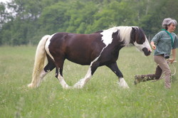 2008 010 colleen fotoshooting mai