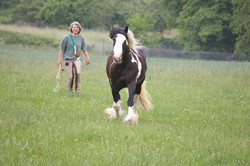 2008 011 colleen fotoshooting mai