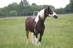 2008 012 colleen fotoshooting mai