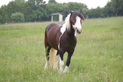 2008 013 colleen fotoshooting mai