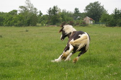 2008 017 colleen fotoshooting mai