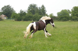 2008 018 colleen fotoshooting mai