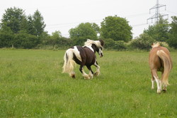 2008 019 colleen fotoshooting mai