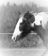 2016 002 colleen fotoshooting