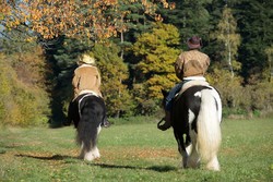 2016 014 colleen fotoshooting