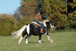 2016 018 colleen fotoshooting